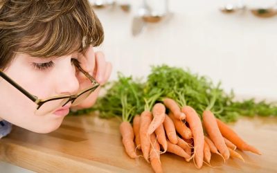 Comer zanahoria, ¿realmente ayuda a mejorar la vista?